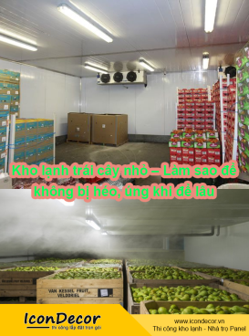 Kho lạnh trái cây nhỏ – Làm sao để không bị héo, úng khi để lâu