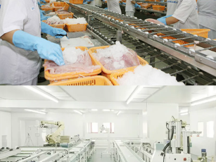 Thi công phòng sạch thực phẩm – Không gian sản xuất an toàn, dễ vệ sinh